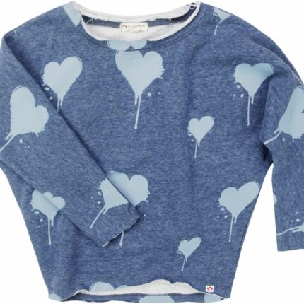 Appaman Kids Slouchy Sweatshirt (Toddler/Little Kids/Big Kids)